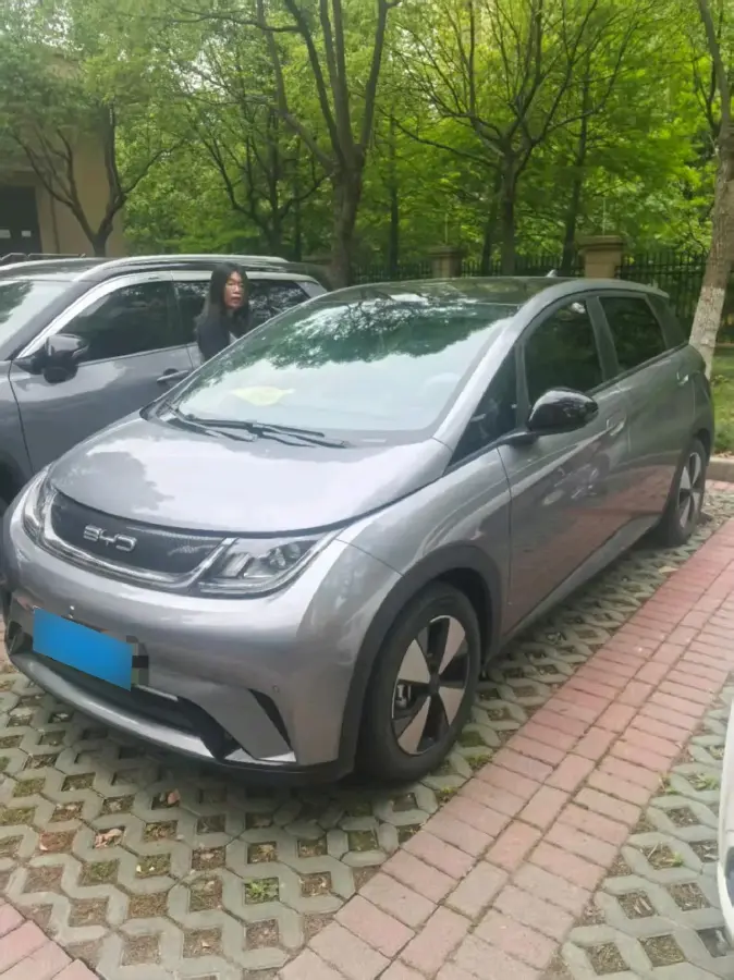 2023 BYD Dolphin BEV 44.928KWH