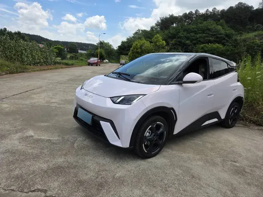 2023 BYD Seagull BEV 30.08KWH