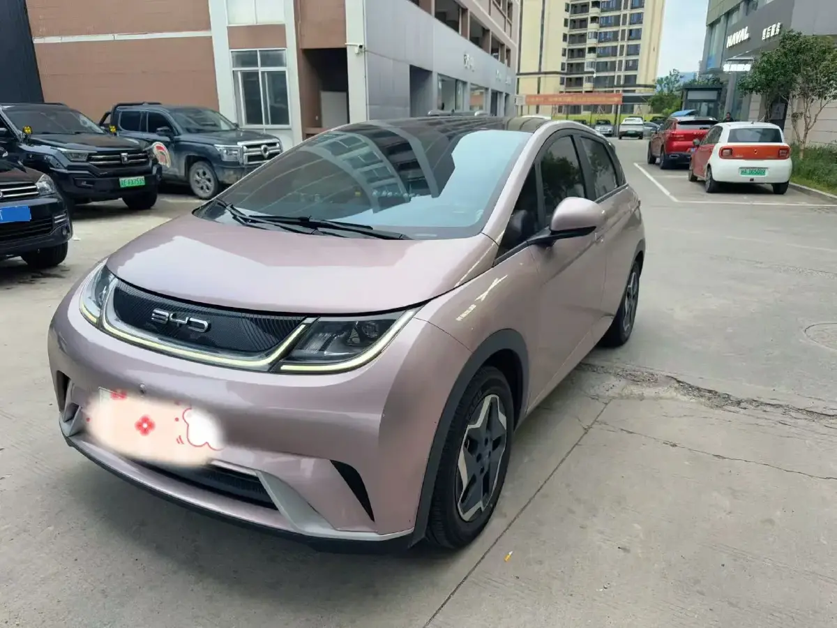 2021 BYD Dolphin BEV 44.9KWH