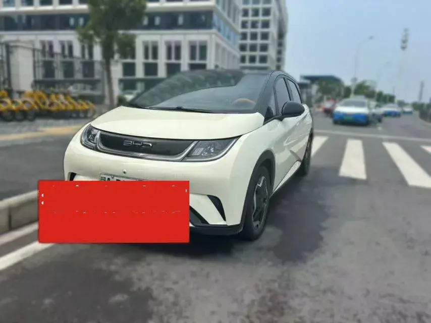2021 BYD Dolphin BEV 44.9KWH