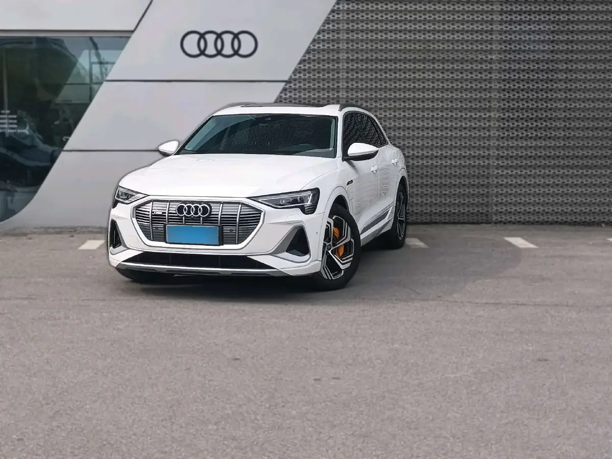 2021 Audi e-tron BEV 96.7KWH