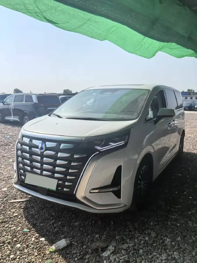 2022 Denza D9 1.5T 139HP L4 E-CVT PHEV 40.06KWH