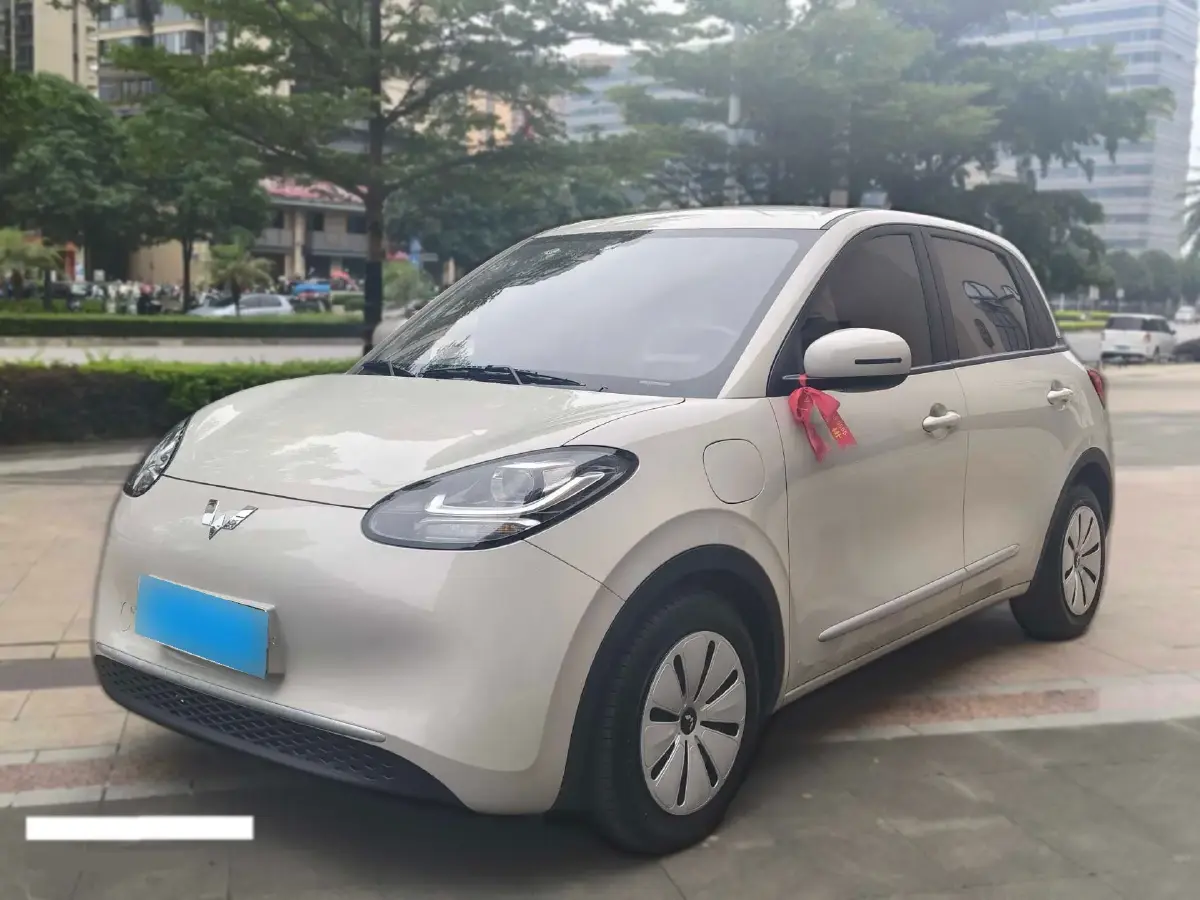 2023 WuLing BinGuo BEV 31.9KWH