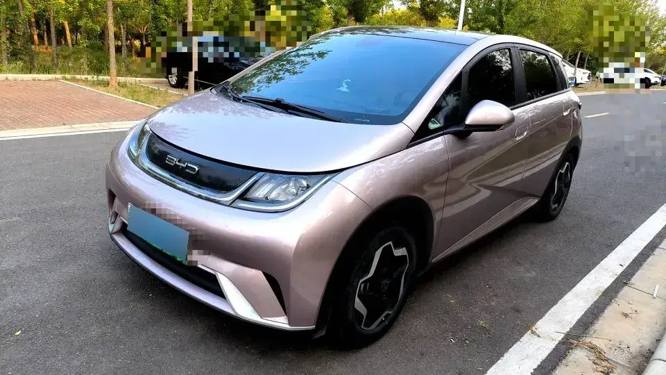 2021 BYD Dolphin BEV 44.9KWH