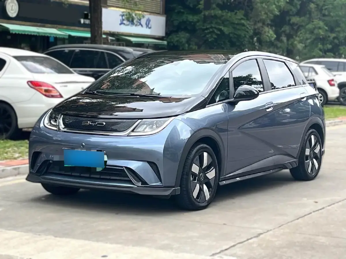 2023 BYD Dolphin BEV 44.928KWH