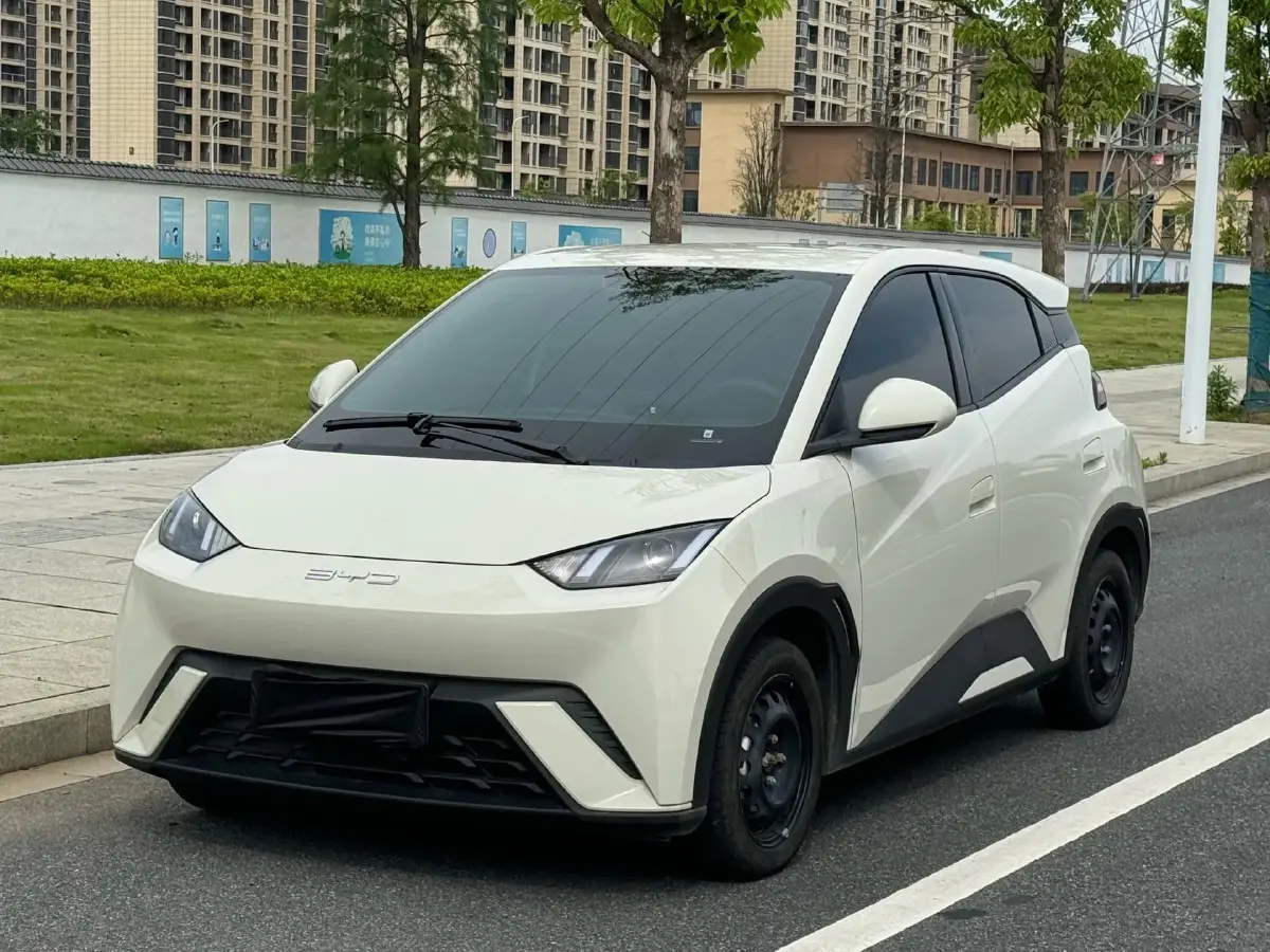 2024 BYD Seagull BEV 30.08KWH