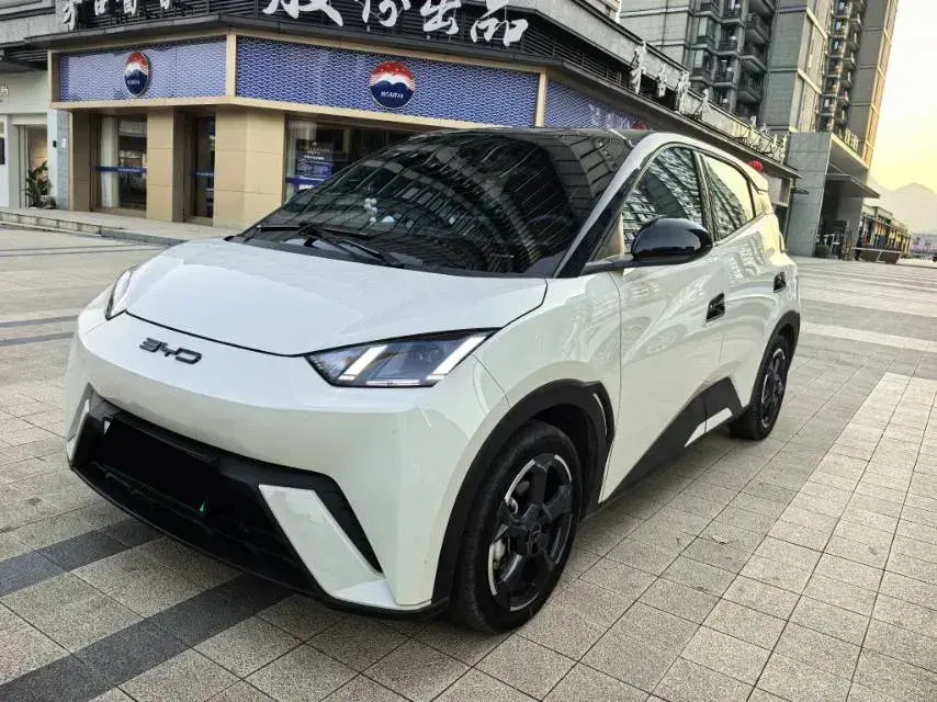 2024 BYD Seagull BEV 30.08KWH