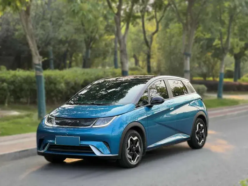2021 BYD Dolphin BEV 44.9KWH