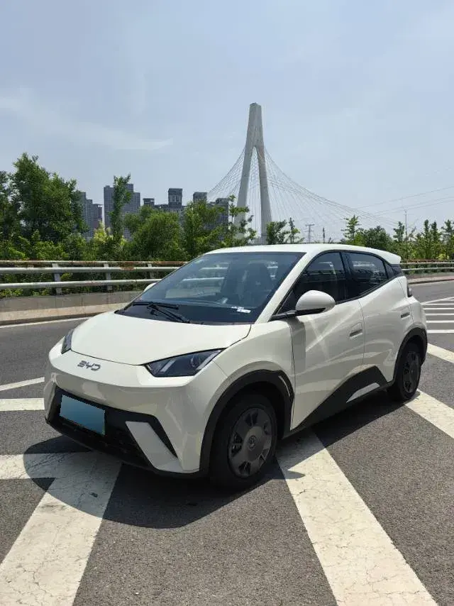 2025 BYD Seagull BEV 38.88KWH