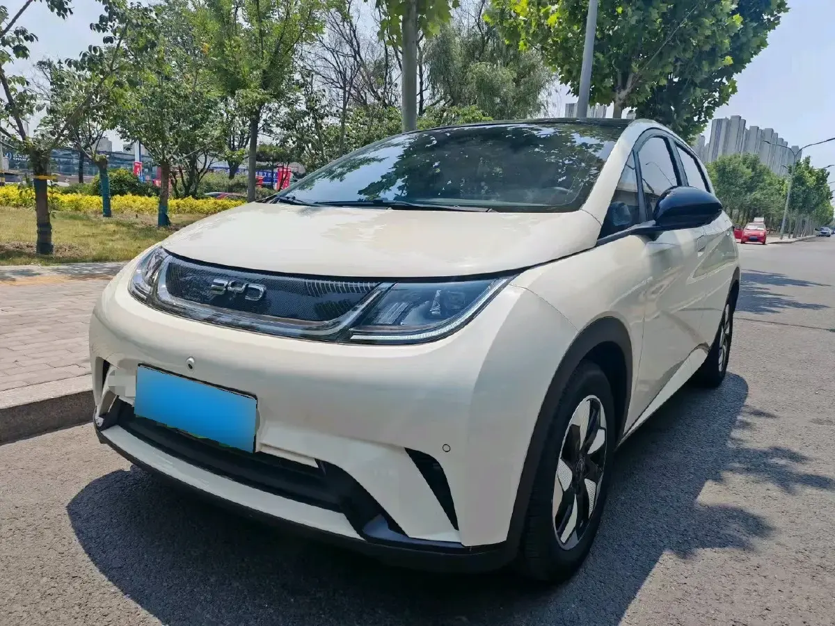 2025 BYD Dolphin BEV 44.928KWH