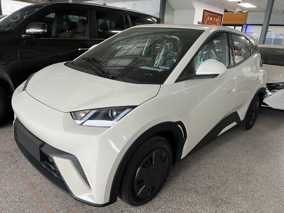 2025 BYD Seagull BEV 30.08KWH