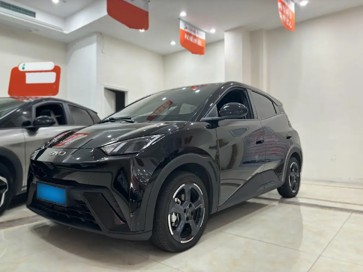2024 BYD Seagull BEV 38.88KWH