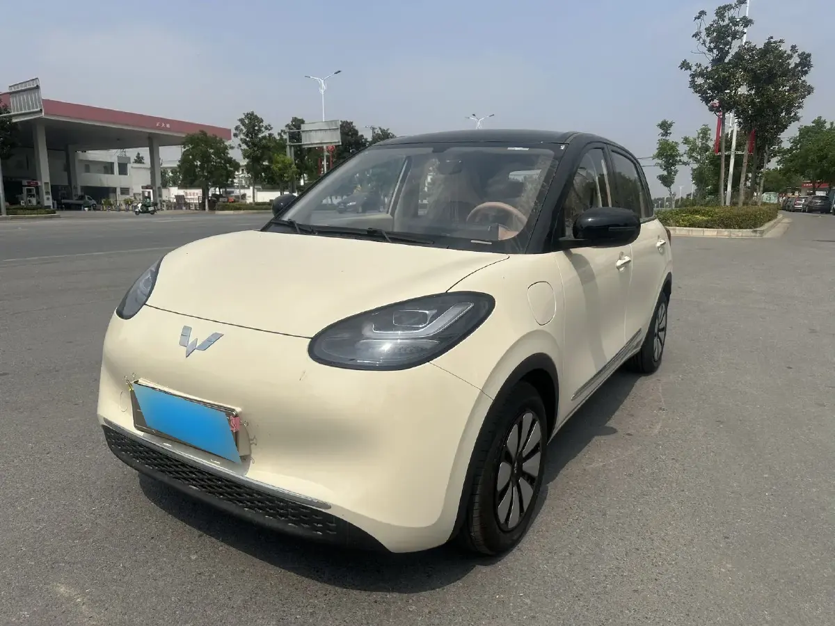 2025 WuLing BinGuo BEV