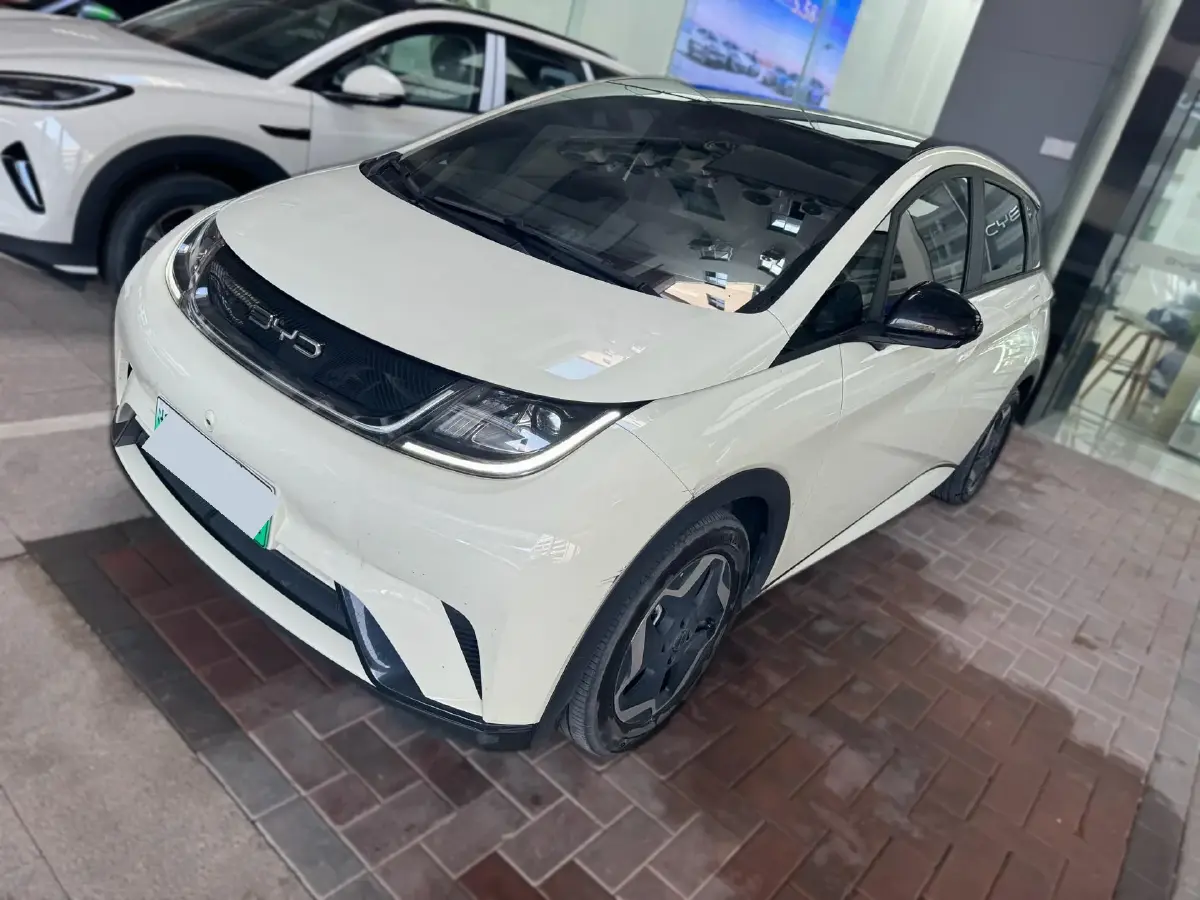 2021 BYD Dolphin BEV 44.9KWH