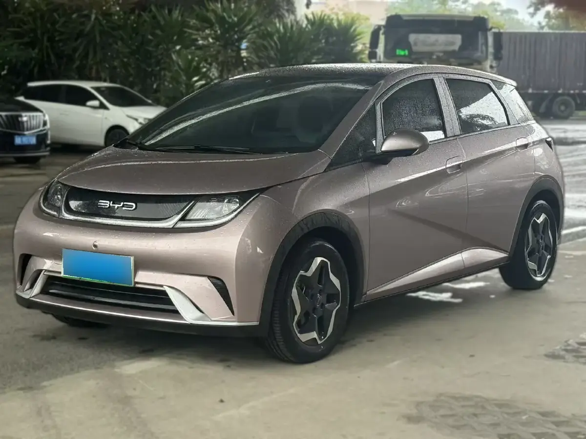 2021 BYD Dolphin BEV 44.9KWH