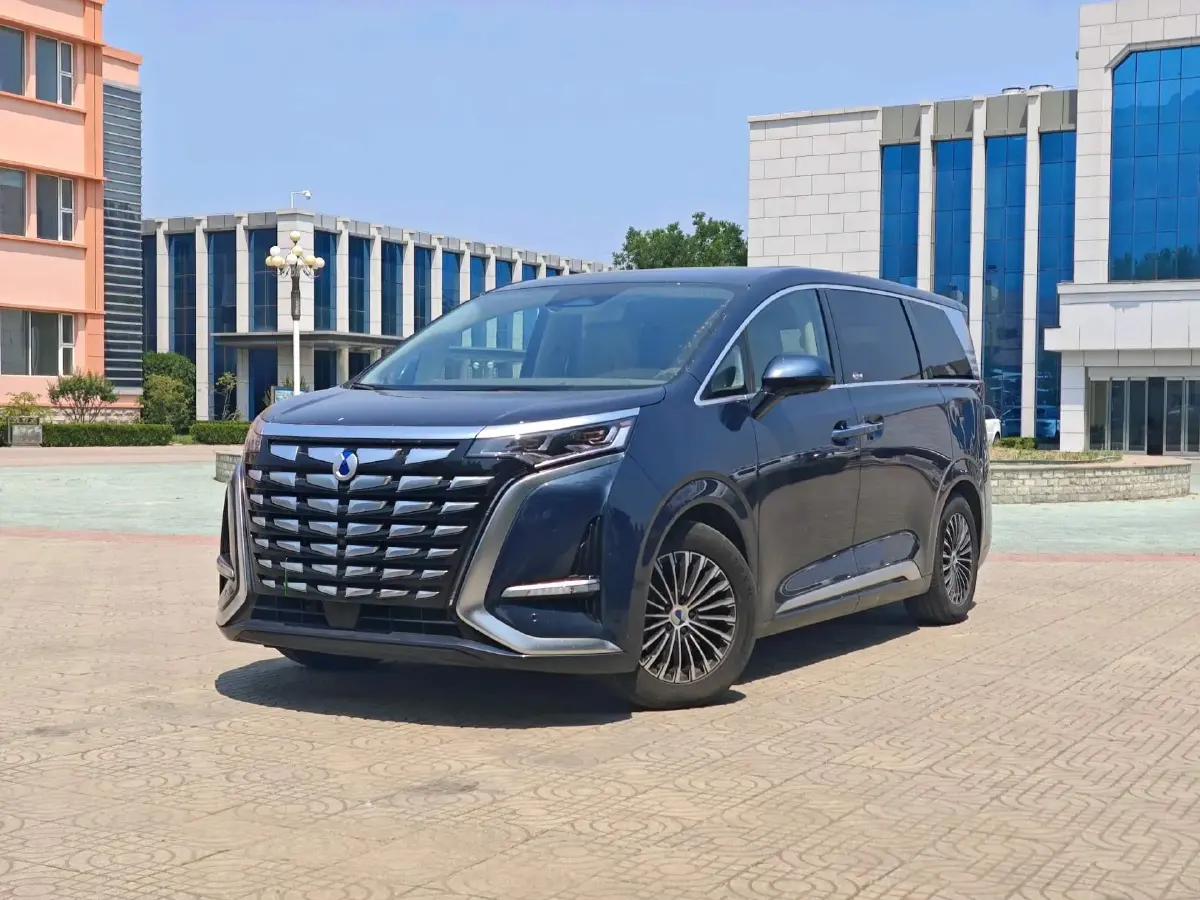 2022 Denza D9 1.5T 139HP L4 E-CVT PHEV 40.06KWH