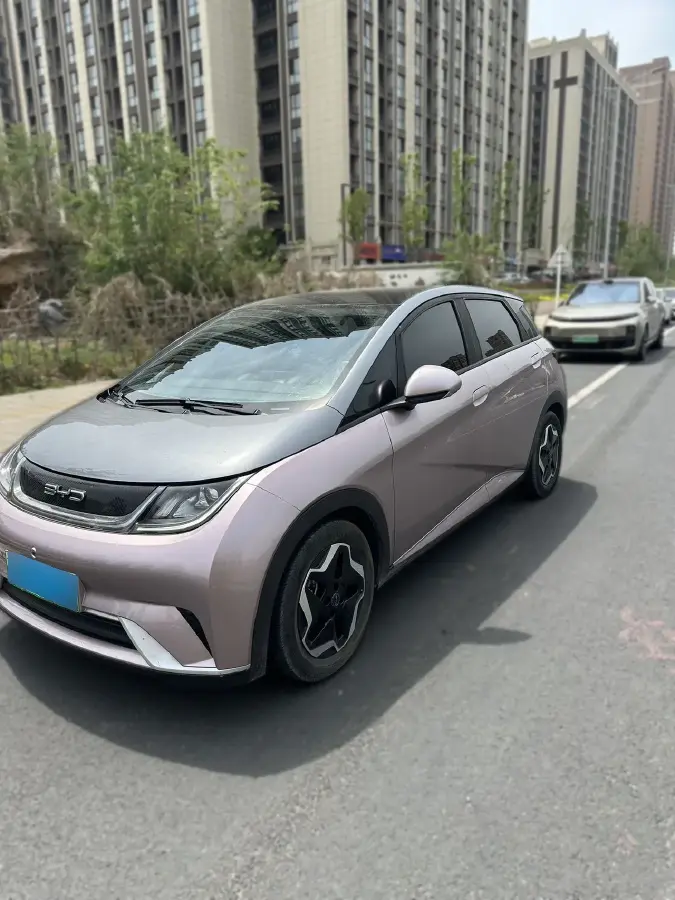 2021 BYD Dolphin BEV 44.9KWH