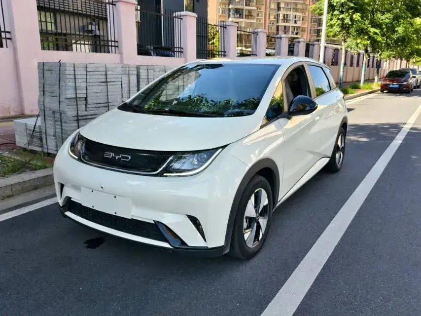 2023 BYD Dolphin BEV 44.928KWH