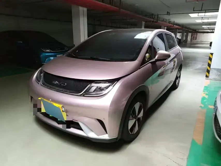 2021 BYD Dolphin BEV 44.9KWH