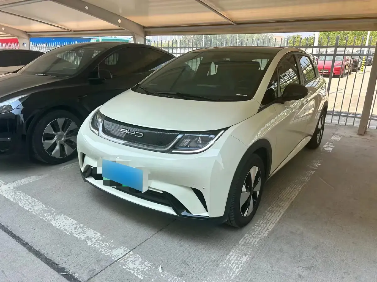 2023 BYD Dolphin BEV 44.928KWH