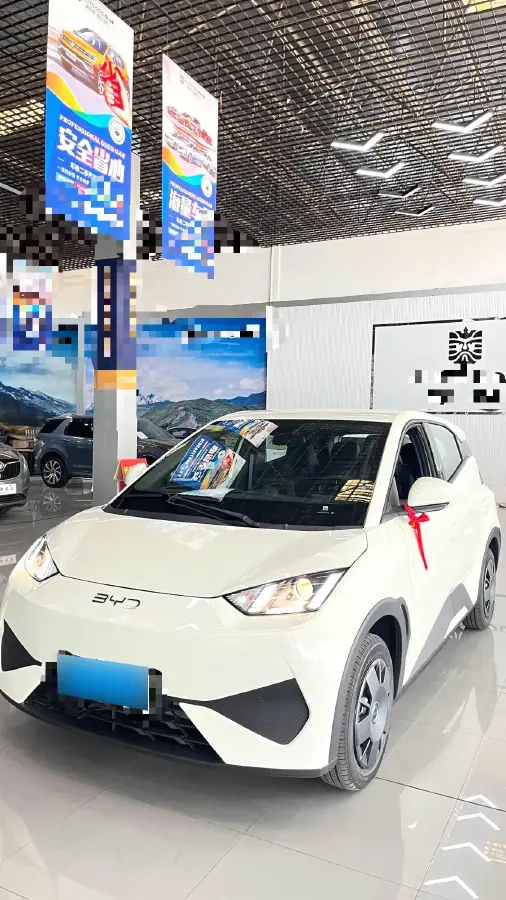 2025 BYD Seagull BEV 30.08KWH