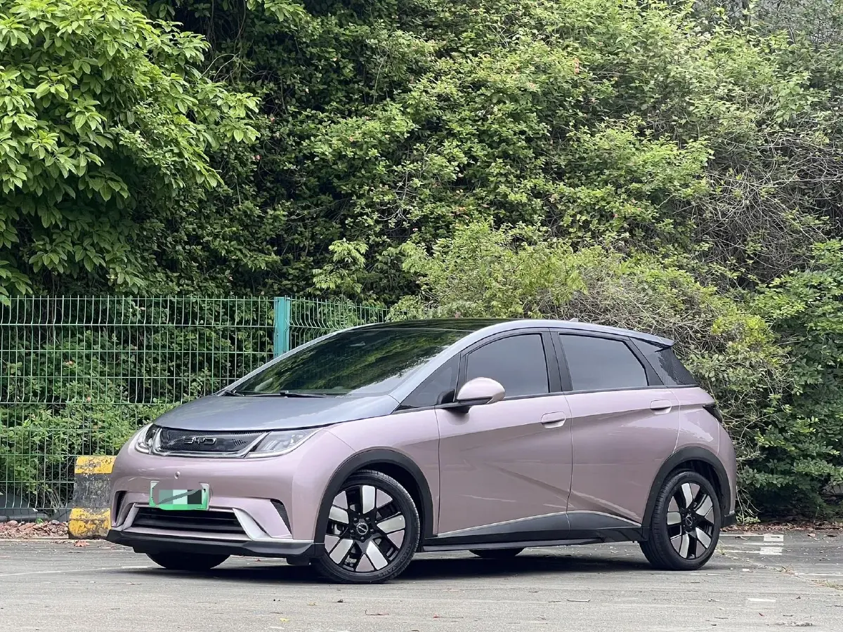 2021 BYD Dolphin BEV 44.9KWH