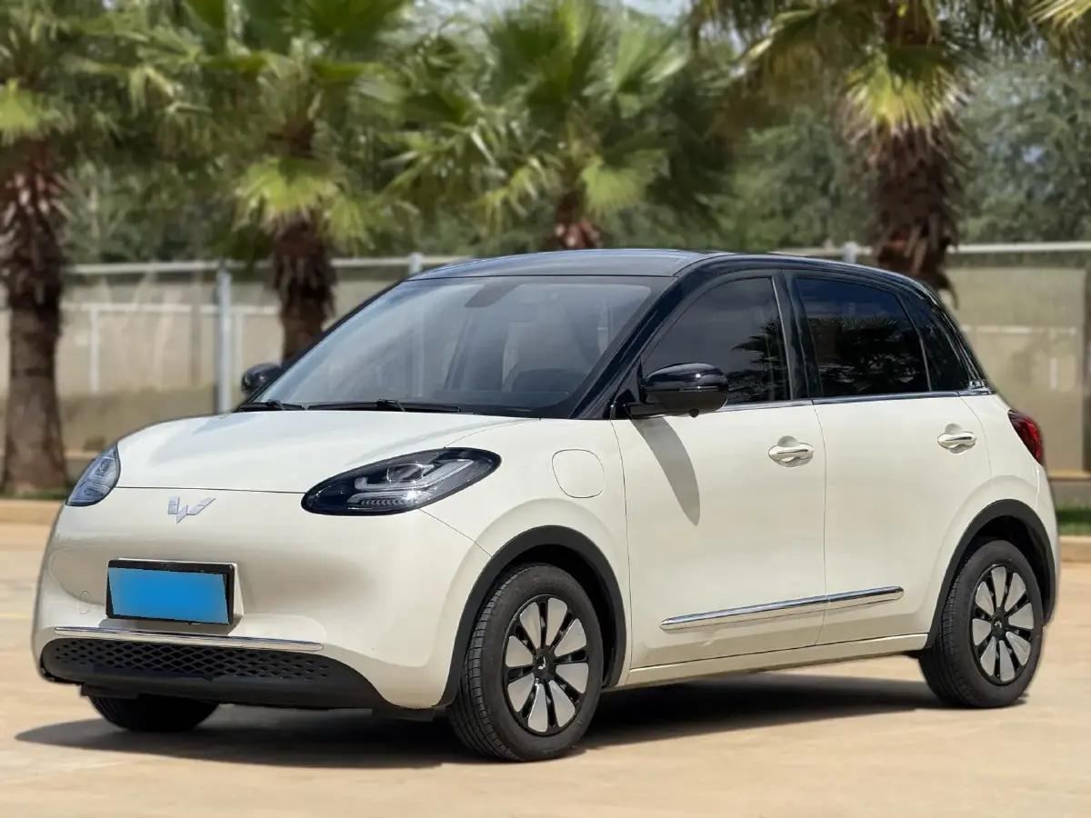 2023 WuLing BinGuo BEV 37.9KWH