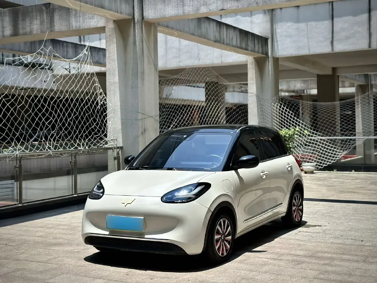 2023 WuLing BinGuo BEV 31.9KWH
