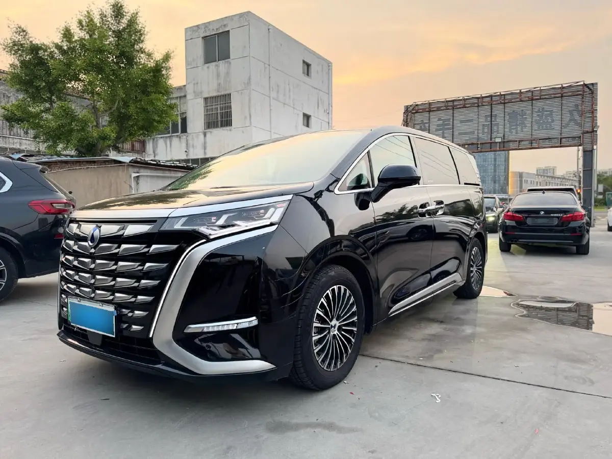 2022 Denza D9 1.5T 139HP L4 E-CVT PHEV 40.06KWH