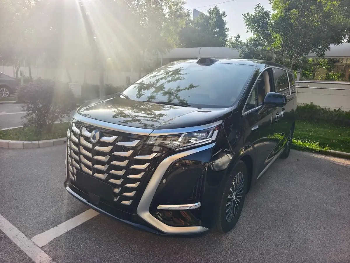 2025 Denza D9 1.5T 156HP L4 E-CVT PHEV 40KWH