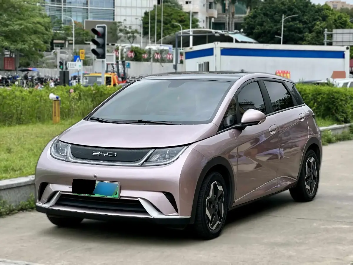2021 BYD Dolphin BEV 44.9KWH