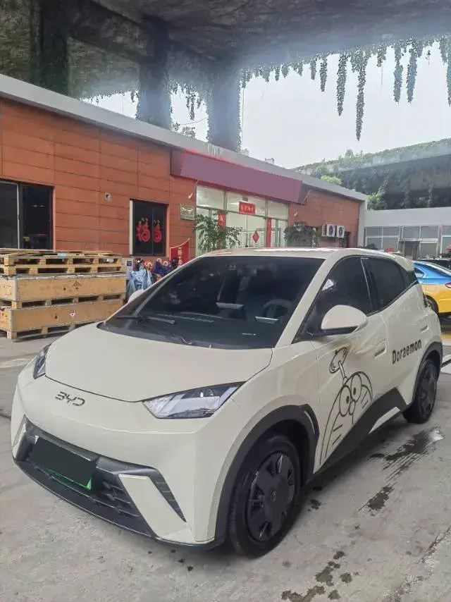 2024 BYD Seagull BEV 30.08KWH