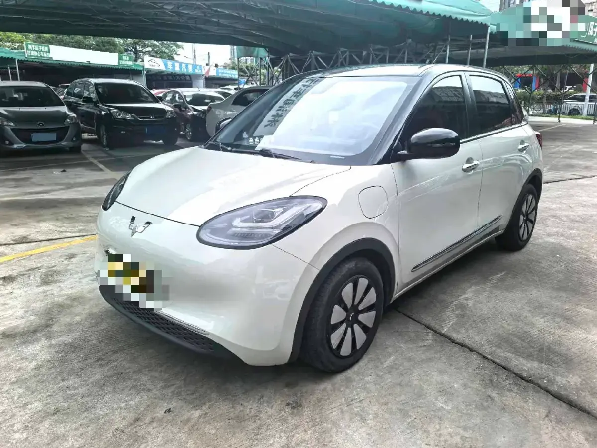 2023 WuLing BinGuo BEV 31.9KWH