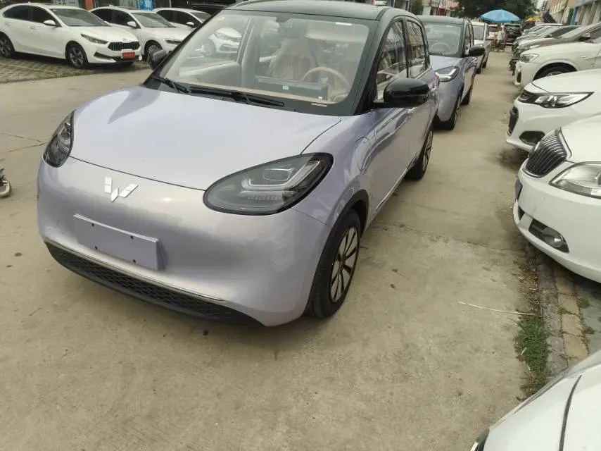 2025 WuLing BinGuo BEV,autocango,china used car exporter,china ev exporter,chinese used car exporter,chinese used ev exporter