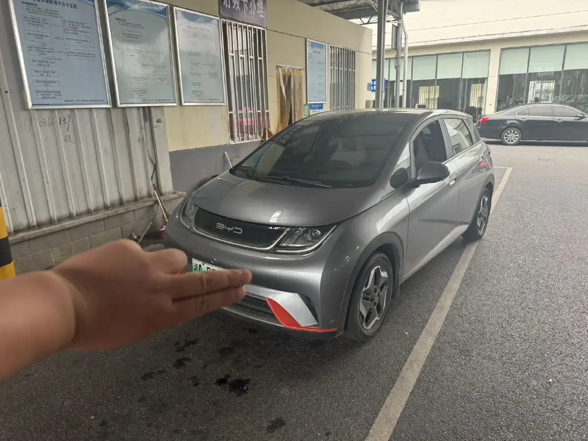 2021 BYD Dolphin BEV 44.9KWH