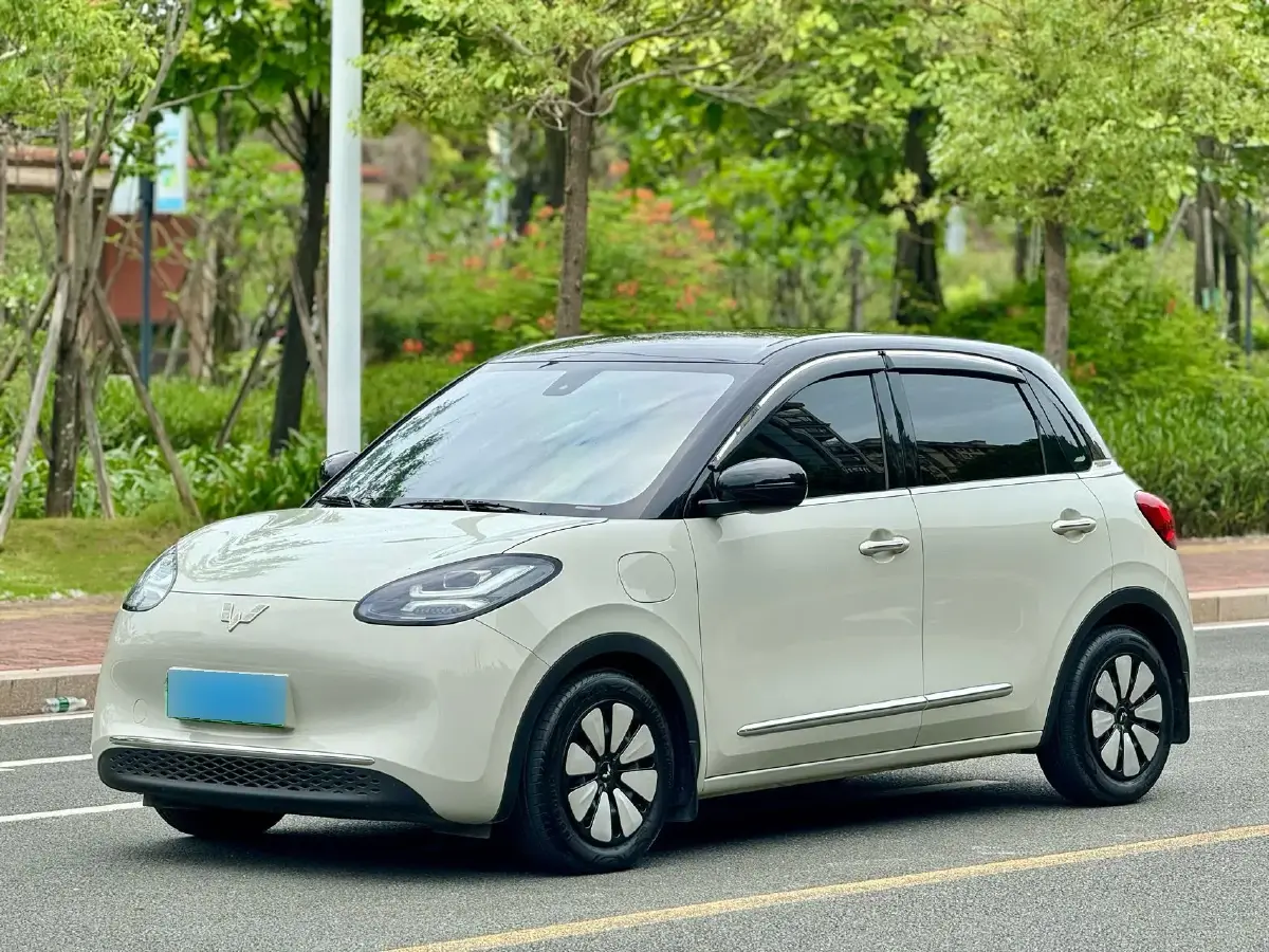 2023 WuLing BinGuo BEV 31.9KWH