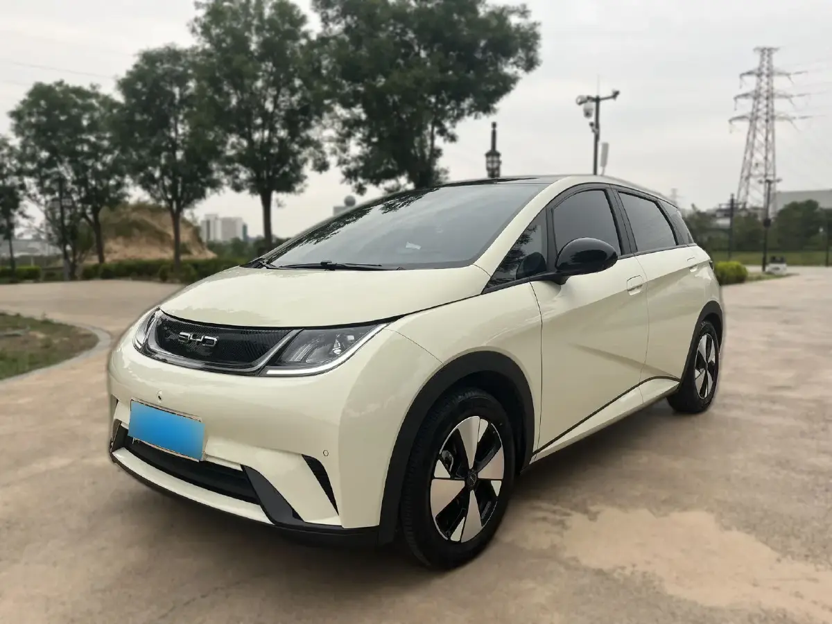 2023 BYD Dolphin BEV 44.928KWH