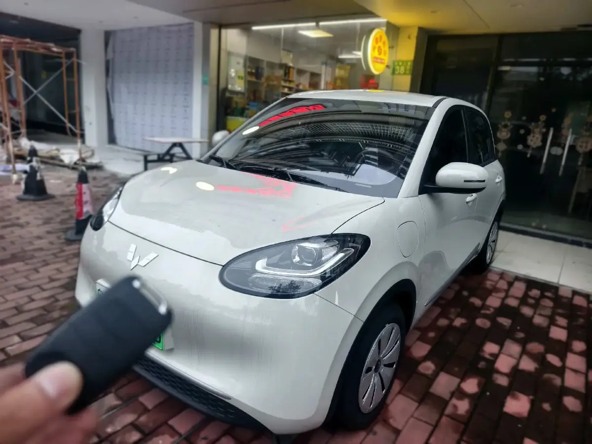 2025 WuLing BinGuo BEV