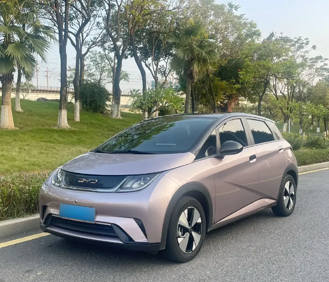 2023 BYD Dolphin BEV 44.928KWH