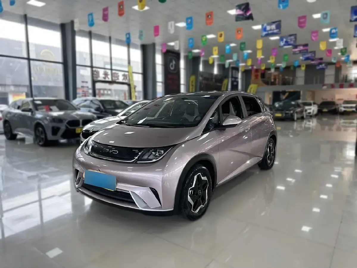 2021 BYD Dolphin BEV 44.9KWH