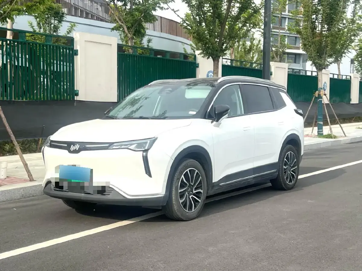 2021 Weltmeister W6 BEV 66.231KWH