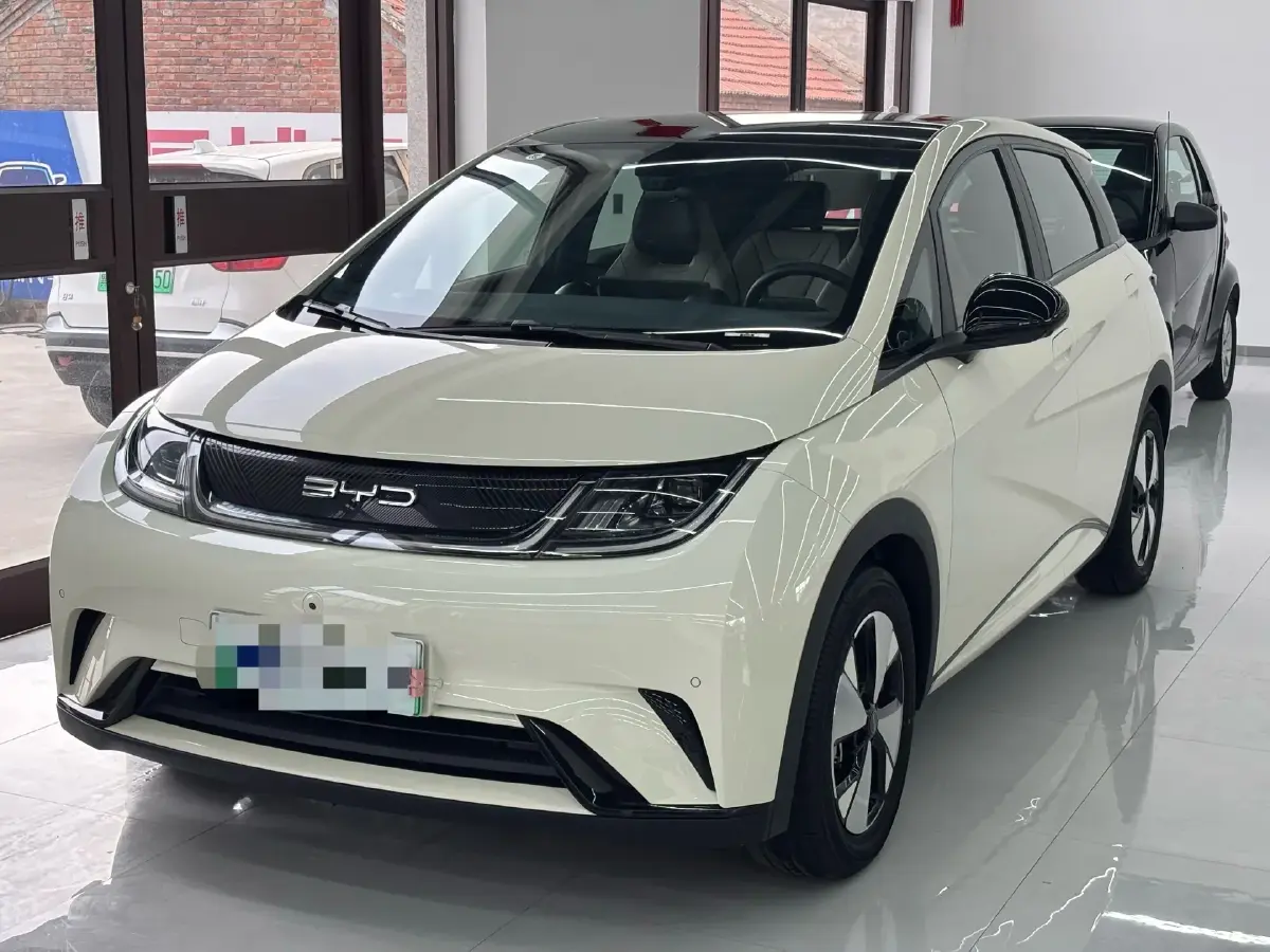 2023 BYD Dolphin BEV 44.928KWH