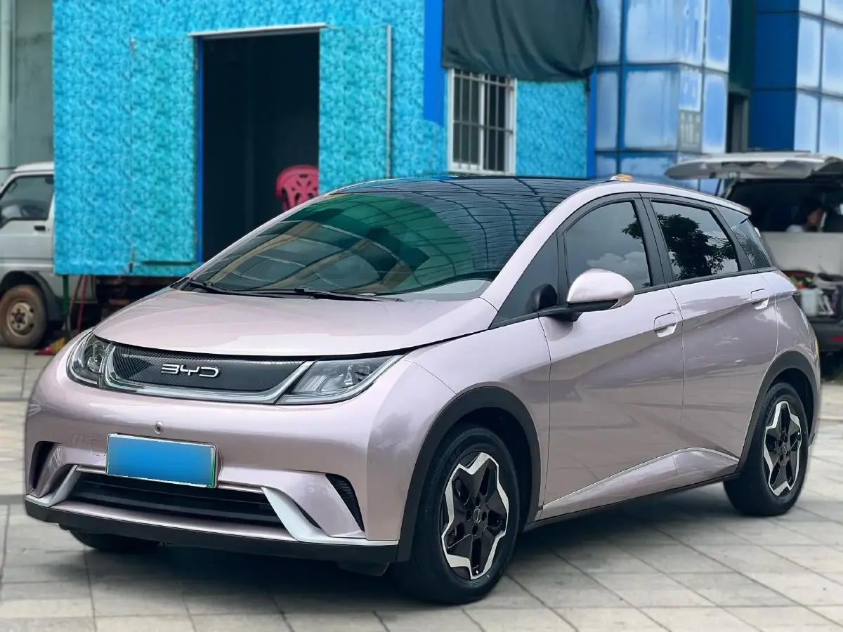 2021 BYD Dolphin BEV 44.9KWH