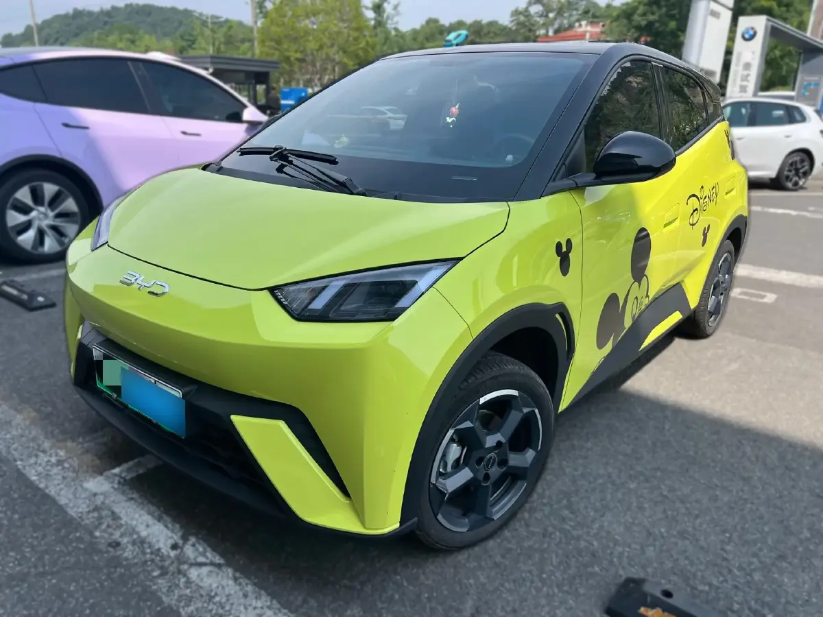 2024 BYD Seagull BEV 30.08KWH