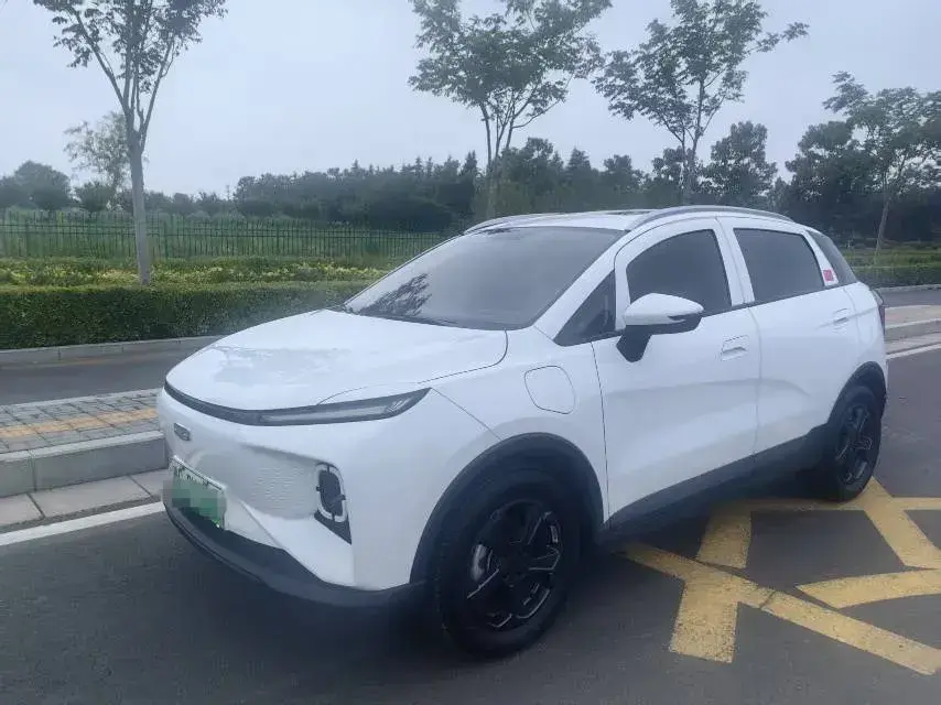 2024 Geometry E BEV 29.67KWH