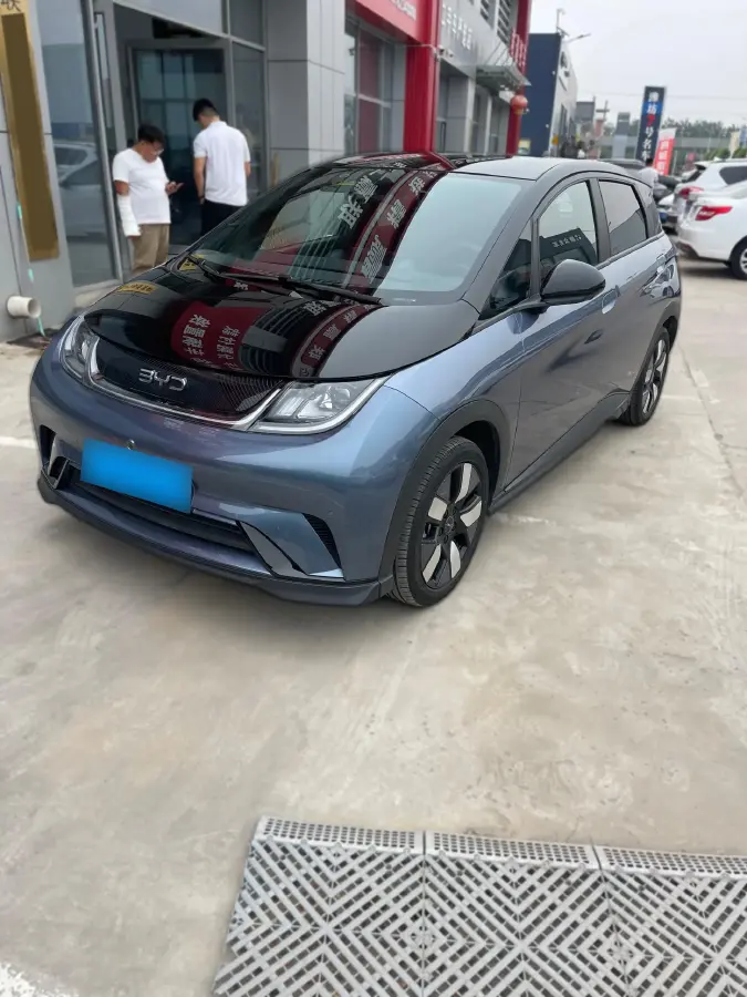 2023 BYD Dolphin BEV 44.928KWH