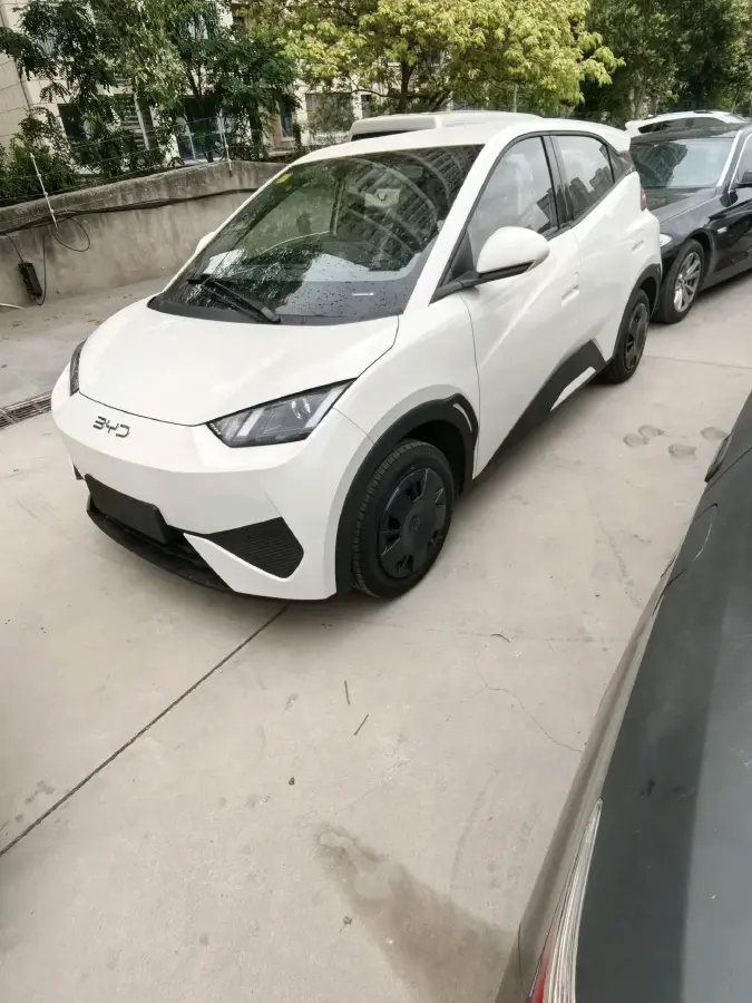 2025 BYD Seagull BEV 30.08KWH