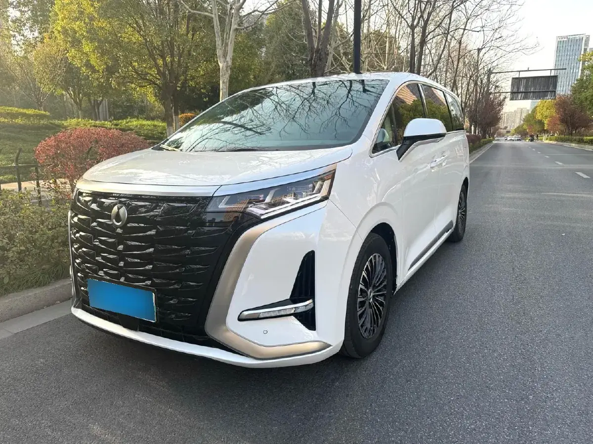 2022 Denza D9 1.5T 139HP L4 E-CVT PHEV 40.06KWH