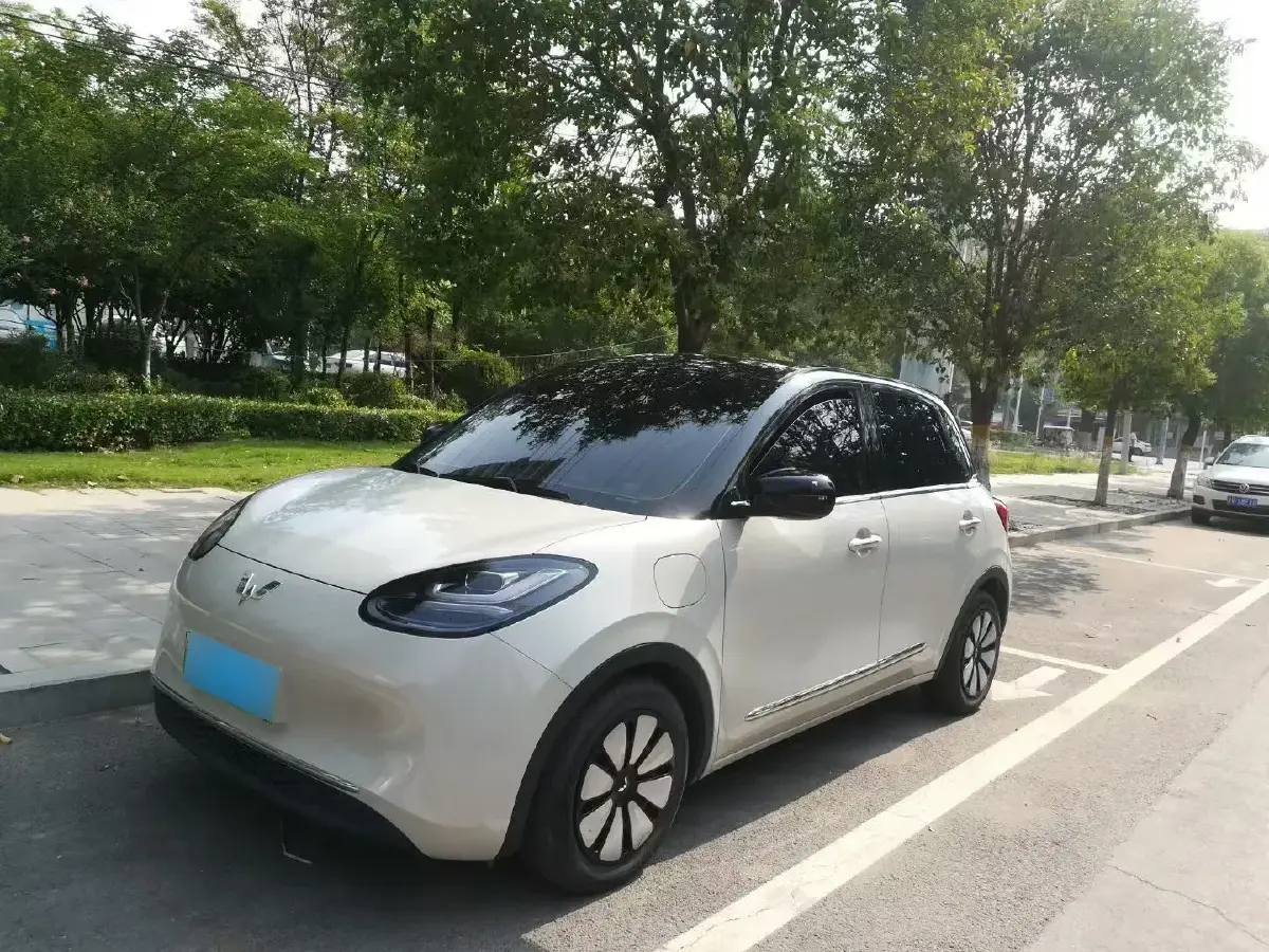 2023 WuLing BinGuo BEV 31.9KWH