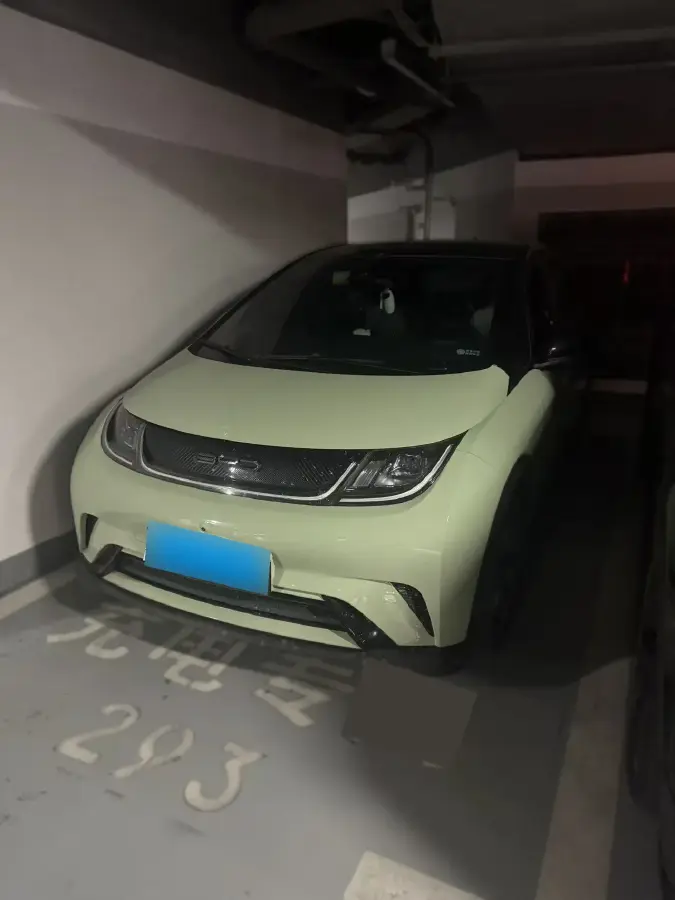 2021 BYD Dolphin BEV 44.9KWH